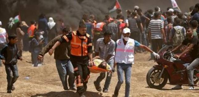 image-Gaza Massacre-Palestinian Medical Staff Evacuating a Civilian Shot by a Fighter from the IDF Terrorist Organization