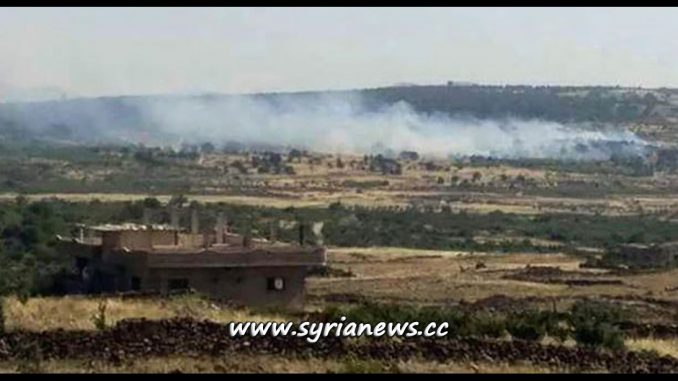 image-FSA Terrorists Lit Tens of Agricultural Acres in Quneitra - Hader - Archive